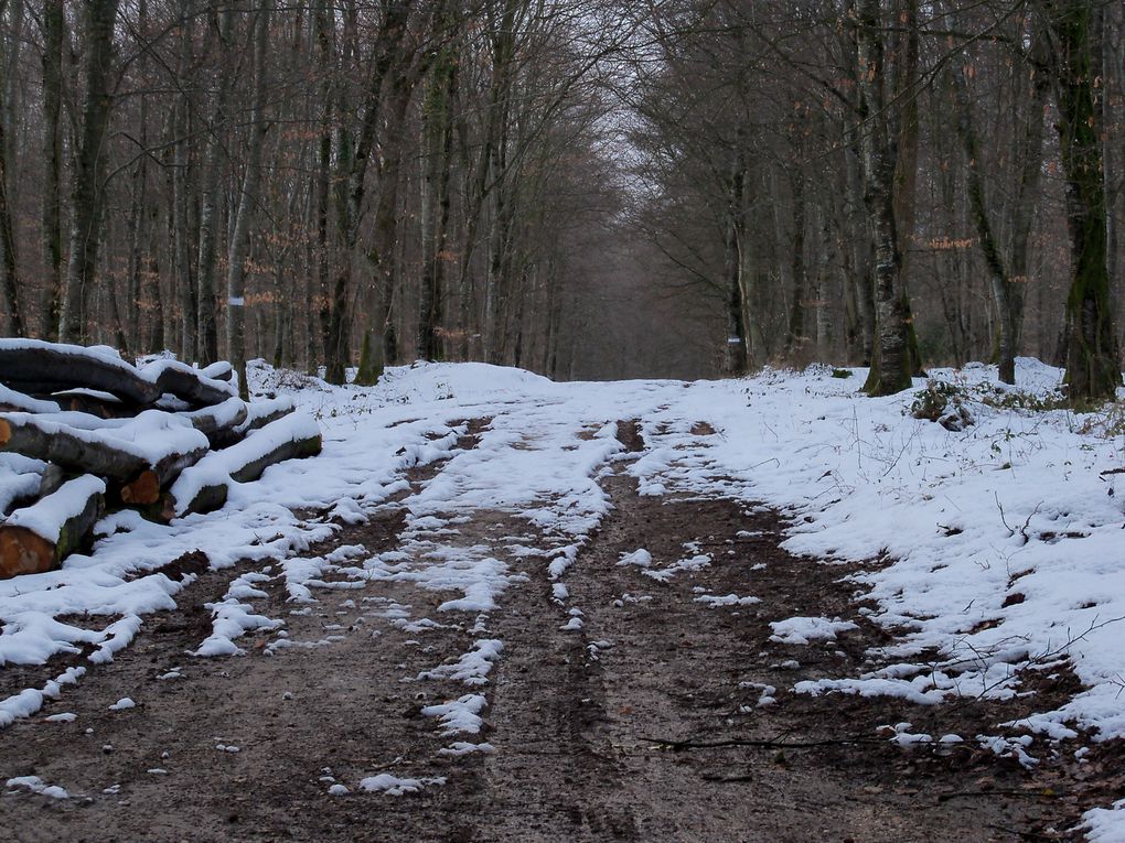 les endroits où j'ai aimé me promener