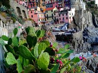 Un soir à Manarola