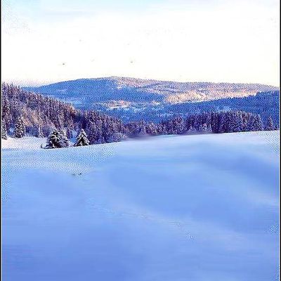 Massif du Jura - paysage de neige