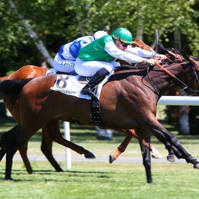 Quinté mercredi à Clairefontaine : Smart Lady peut frapper fort ! 