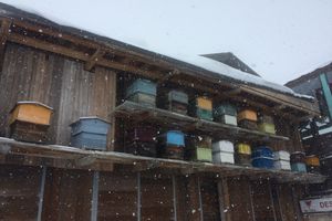 Les ruches de la Folie Douce