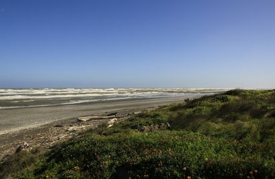 Bonjour l'île du Nord