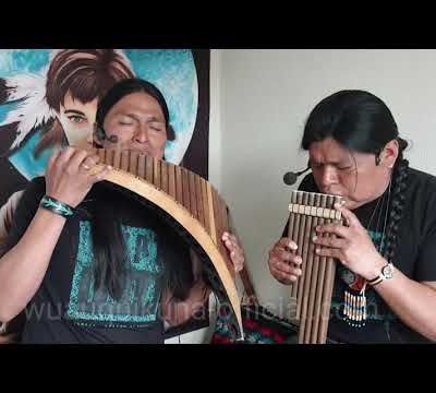 The Sound of Silence - Panflute and quenacho - Wuauquikuna