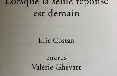 Nourredine Ben Bachir au sujet de  Lorsque que la seule réponse est demain :