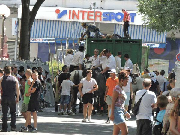 Cavaillon, la féria du melon  (1/2)