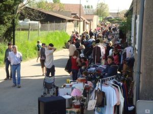 Vendredi 04 avril 2014 : Spécial idées de sortie et Jardiniers au Marais Vernier