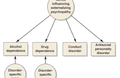Phases Or Stages of Alcohol Dependence