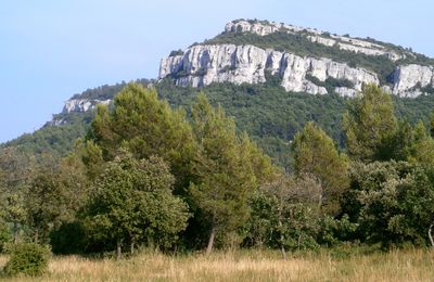 Qui pourrais m'aider?