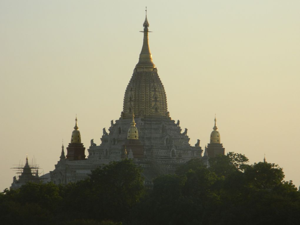 Des bergers avec leur troupeau, des femmes qui cultivent les terres, d'autres qui ramassent les mauvaises herbes, des charrettes tirées par des boeufs qui circulent entre les temples... A Bagan, il y a le tourisme, mais toute une vie aussi à côté