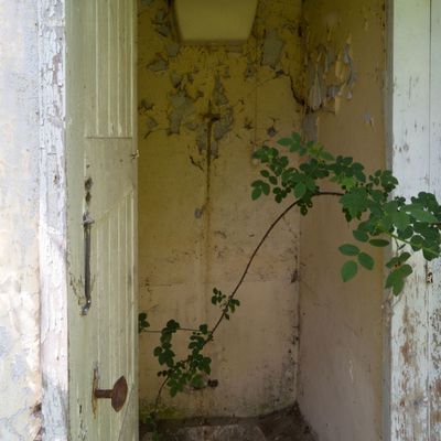 Toilettes à l'eau de rose ...