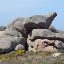 Bretagne Trégor