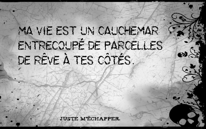 Citation n°8.