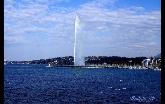 Genève 2012