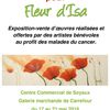 Fleur d'Isa : exposition à carrefour Soyaux (16)