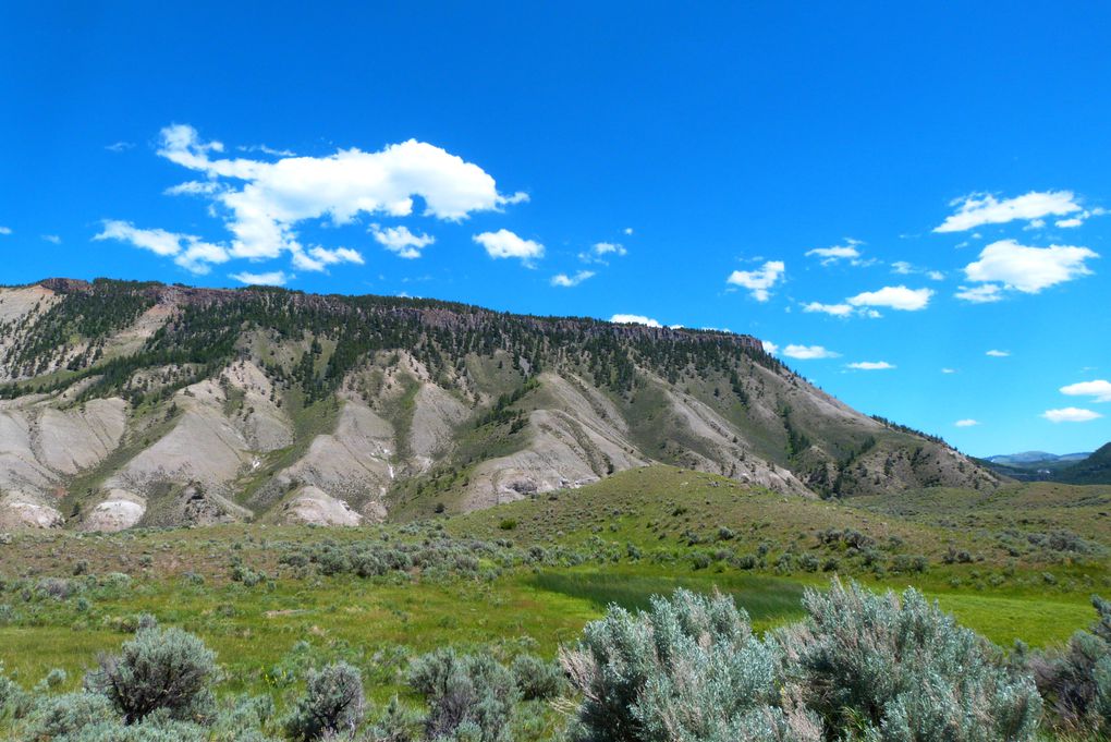 Voici quelques photos de ce MAGNIFIQUE parc national qu'est Yellowstone. Animaux sauvages, canyon, geysers, .... c'était juste splendide!