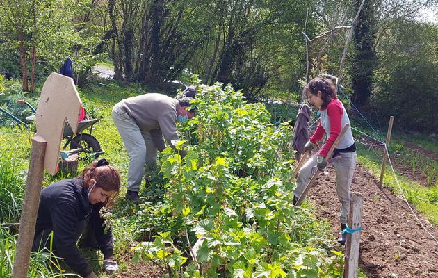 Scéances des Mardis après-midi ! 