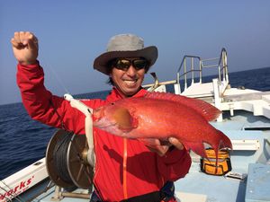 Taka rockfishing rouge