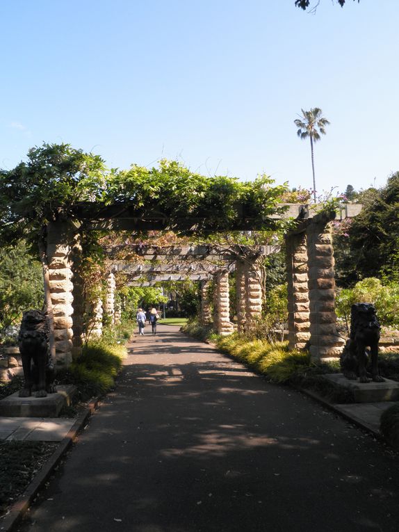 Album - Royal-Botanic-Garden---Sydney