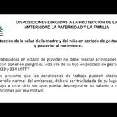 INAMOVILIDAD LABORAL Y PROTECCIÓN DEL TRABAJO EN CASO DE MATERNIDAD
