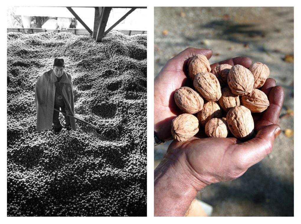 Un voyage en image chez les chefs, chocolatiers, producteurs, vignerons..
© photos Thierry Vallier