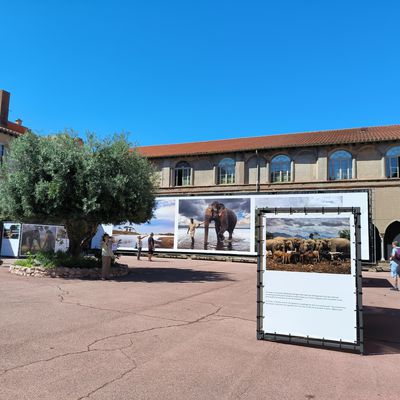 Couvent des Dominicains à Perpignan