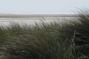 Plage normande