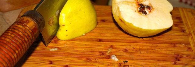 LA FOURMIGO FAIT SA PATE DE COINGS….