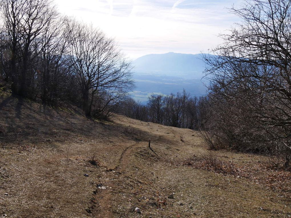 Crêt de la Goutte 1621m - (Ain/Jura)