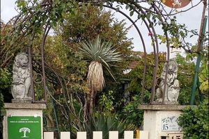 Visite du jardin Le Clos fleuri à Chabeuil dans la Drôme 