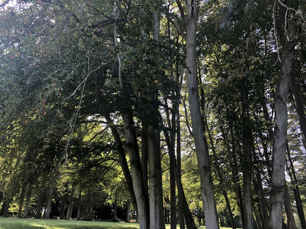 Promenade à Regnière-Ecluse, le parc et le château.