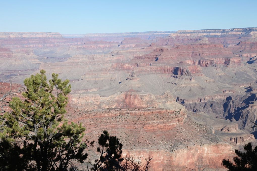 The road trip - Grand Canyon