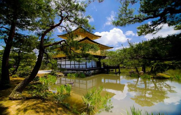 5 lieux incontournables à voir lors d'un séjour au Japon