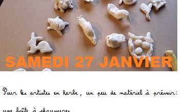 Des animaux et des végétaux en pâte à sel