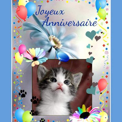 Cartes anniversaires - chats à imprimer