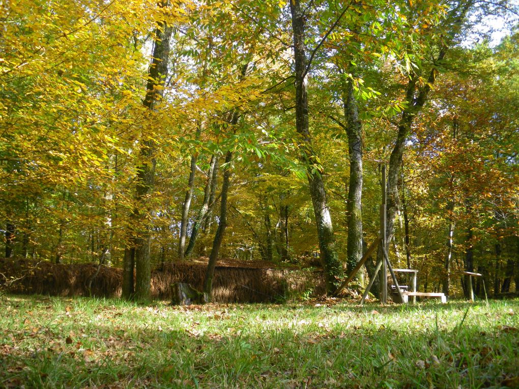 Je vous invite à visiter notre région au travers de cette belle saison haute en couleurs qu'est l'Automne