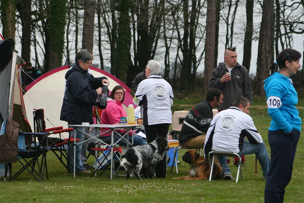 Album - Concours-Agility-La-Martyre-2012--1--partie