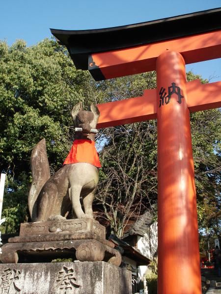 Album - Fushimi-inari