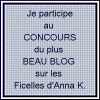 p'tit concours pour faire connaître d'autres blogs