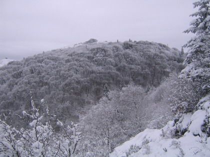 <P>Il venait de vraiment bien neigé...<BR>Le temps froid laissait présager une piste de descente fort sympatique... dur et rebondie... pour tout dire carrément verglacée... </P>
<P>&nbsp;</P>
<P>Le chemin de la montée fût donc notre descente -en luge - préférée en cette fin janvier ;-)</P>
<P>&nbsp;</P>
<P>Royal !!</P>