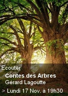 Contes