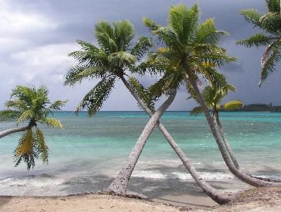 île Saona en République Dominicaine