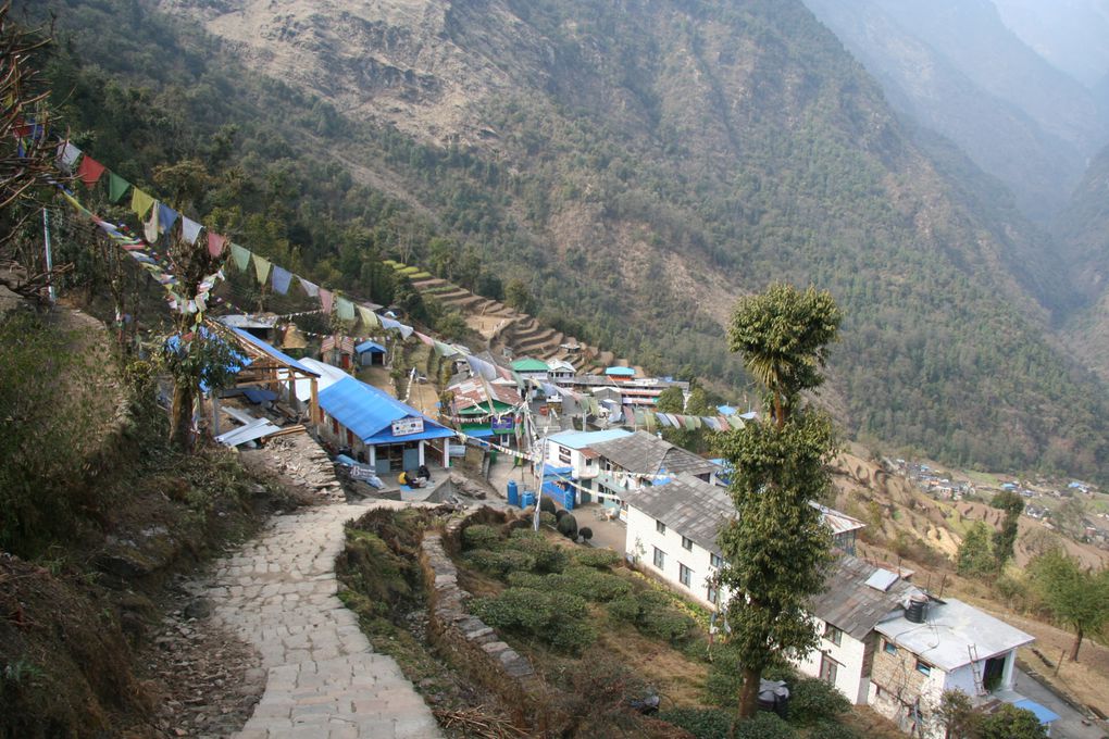 Album - Trek vers l'Annapurna Sud