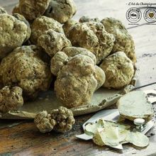 La Truffe Noire D’Hiver : Un Diamant Gastronomique