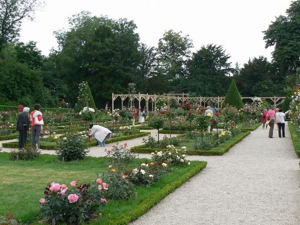 Parc de Bagatelle le 1ier juin 2008