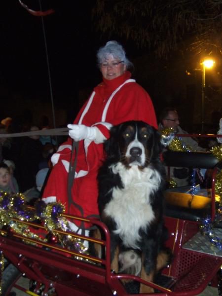 Vendredi 14 Décembre 2008
Le Père Noël nous a fait la surprise de venir accompagné de la Mère Noël et en caleche.