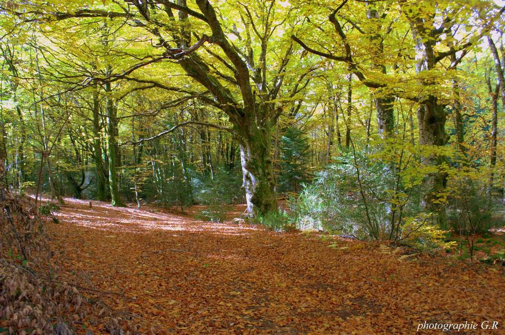 Paysages automnal dans les environs de Lodève et du temple Lerab Ling