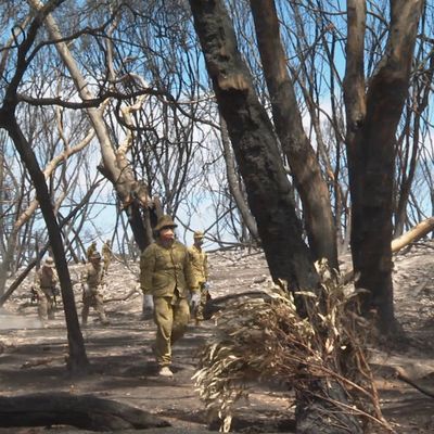 Australie : Le «méga-feu» sous contrôle, de la pluie attendue