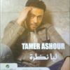 Tamer Ashour 2011