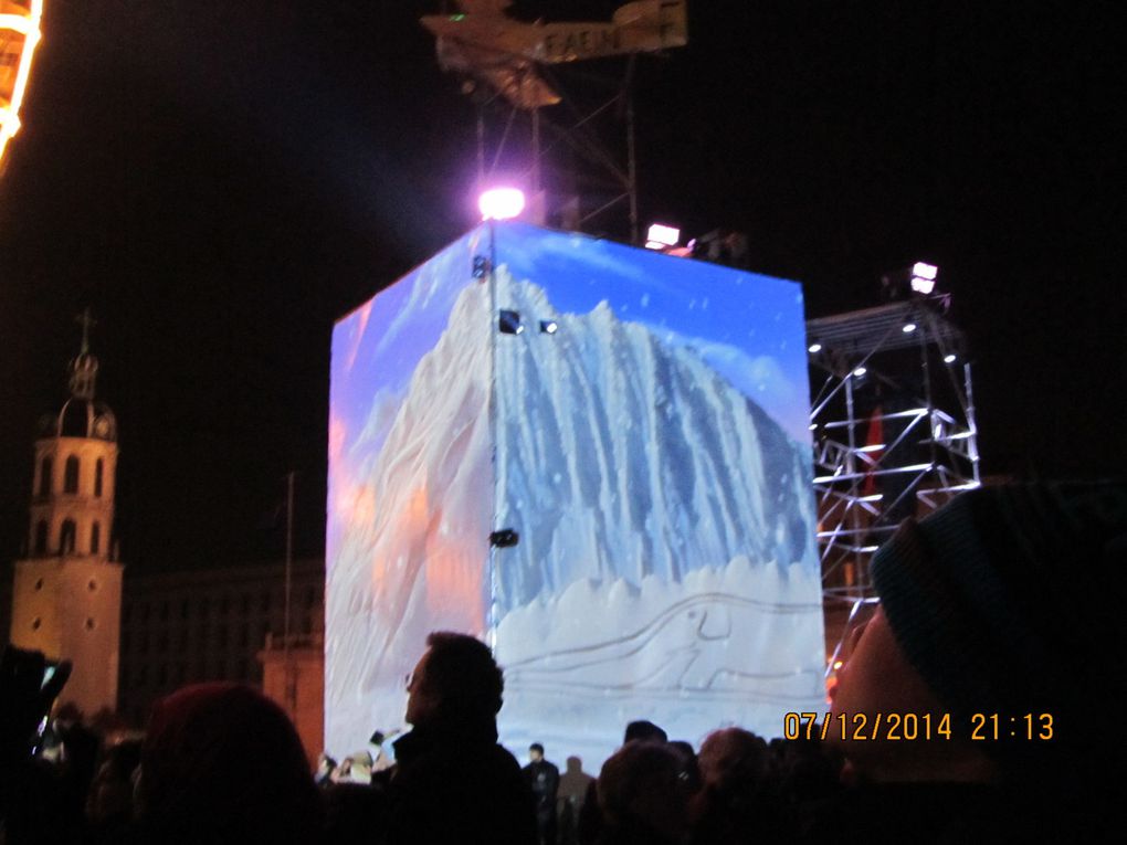 LA FETE DES LUMIERES A LYON 2014