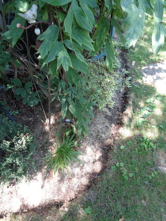 Le jardin Le Clos fleuri en août ......